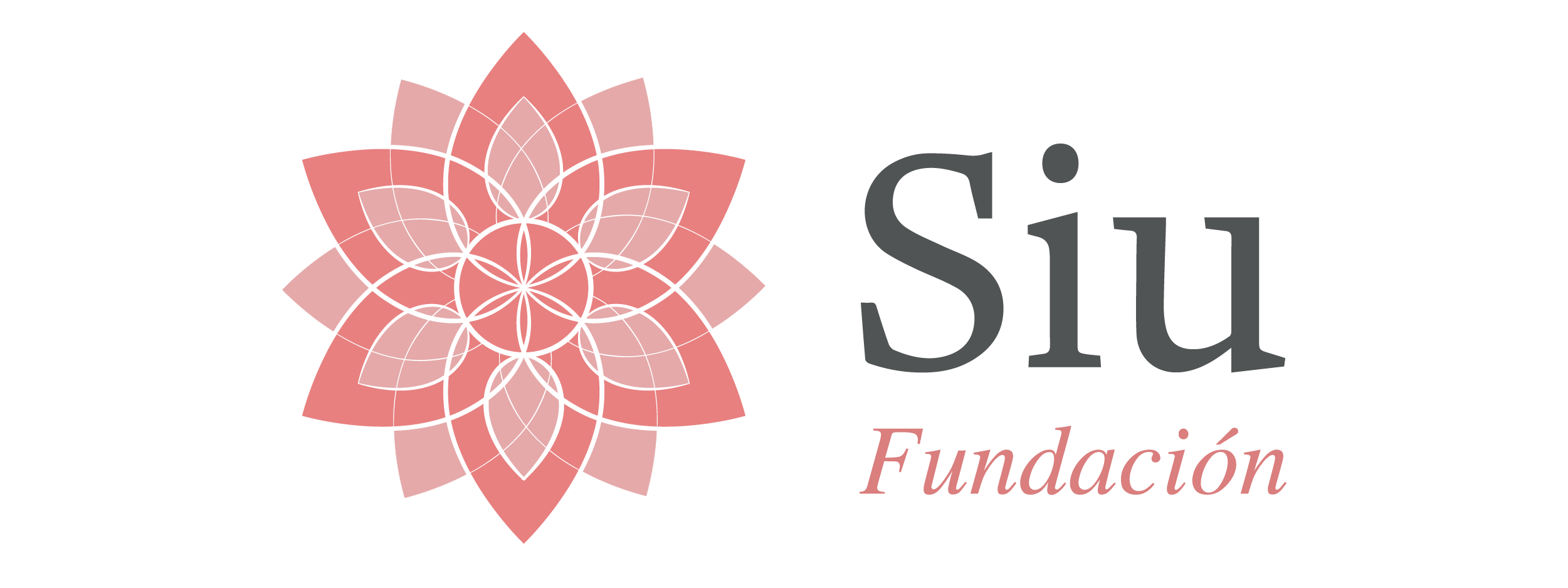 Logo Web Fundacion-02